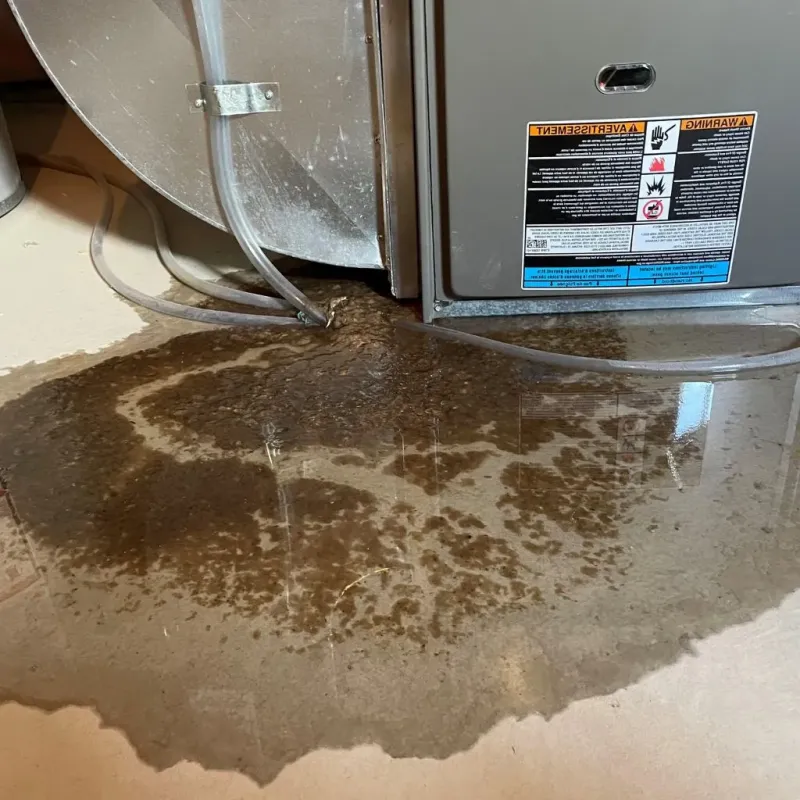 Pipe Burst and Leak Restoration in Maquoketa, IA